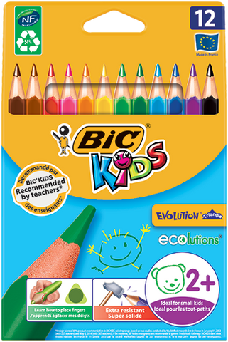 BIC Evolution Triangle