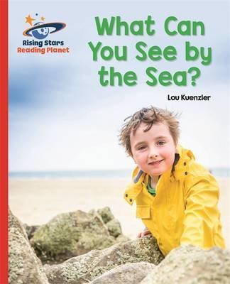 WHAT CAN YOU SEE BY THE SEA? - RED B
