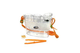 3D Bug Viewer For Kids