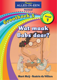 Nuwe Alles-In-Een Graad 1 Huistaal Grootboek 5: Wat maak Babs daar?