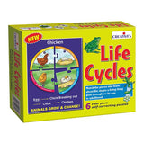 Creatives - Life Cycles