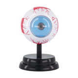 STEM Augmented Reality - Eye Ophthalmology Professional Model