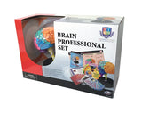 STEM Brain Professional Model Deluxe Set