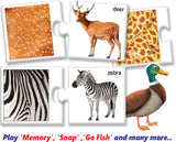 Creatives - Animals & Their Skins Find and Match Memory Game