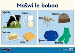 Oxford Kereiti ya R Phousetara 15: Mašwi le boboa