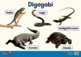 Oxford Kereiti ya R Phousetara 17: Digagabi