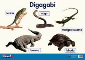 Oxford Kereiti ya R Phousetara 17: Digagabi