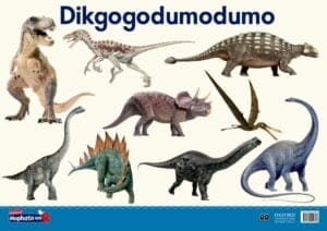 Oxford Kereiti ya R Phousetara 18: Dikgogodumodumo