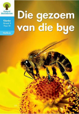 Oxford Storieboom Klanke Fiksie Boek 37 Graad 3 Fase 12: Die Ysstad ePDF