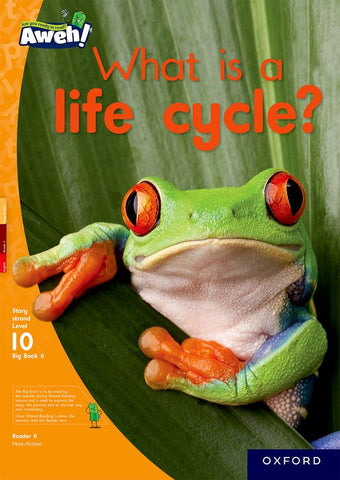 Aweh! English Grade 3 Level 10 Big Book 1 What is a life cycle?