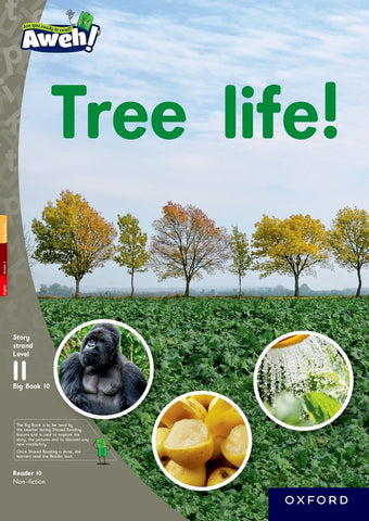 Aweh! English Grade 3 Level 11 Big Book 2 Tree life!
