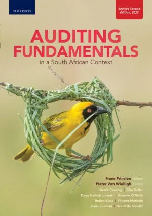 Auditing Fundamentals in a South African Context 2e ePub