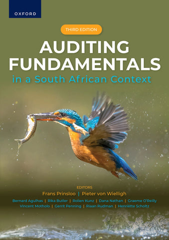 Auditing Fundamentals in a South African Context 3e
