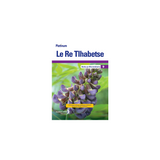 Platinum Le Re Tlhabetse (Setswana HL) Grade 9 Teacher's Guide ePDF (1-year licence)