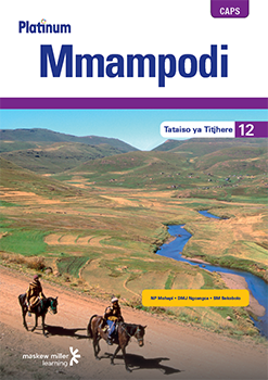Platinum Mmampodi (Sesotho HL) Grade 12 Teacher's Guide ePDF (1-year licence)