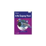 Platinum A Re Šogeng Thari (Sepedi HL) Grade 6 Learner's Book ePDF (1-year licence)