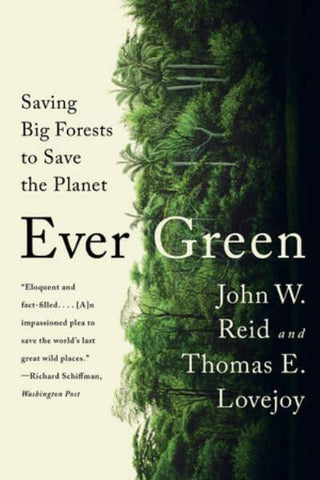 EVER GREEN