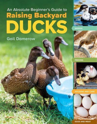 RAISING BACKYARD DUCKS