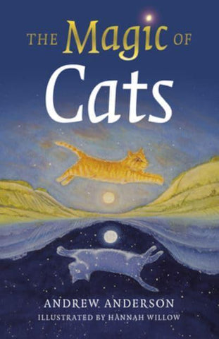 MAGIC OF CATS