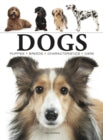 DOGS