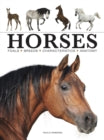 HORSES