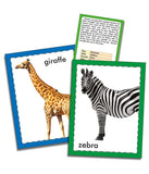 Creatives - Discover Numbers/Animals/Vegetables Jumbo Flash Cards - 36 Cards