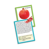 Creatives - Discover Numbers/Animals/Vegetables Jumbo Flash Cards - 36 Cards