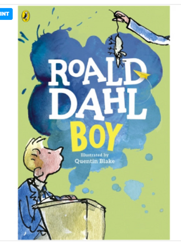 Boy: Tales of Childhood