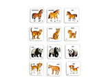 Creatives - Animals and Their Families