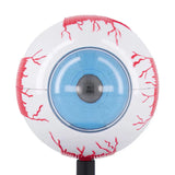 STEM Augmented Reality - Eye Ophthalmology Professional Model