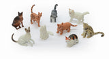 Assorted Cats in a Set 9 pieces