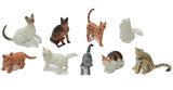 Assorted Cats in a Set 9 pieces