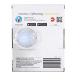STEM Augmented Reality - Eye Ophthalmology Professional Model