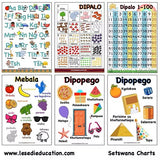CHART: LANGUAGE (SEPEDI/ENGLISH) IN THE HOME A2