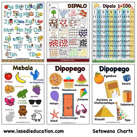 CHART: LANGUAGE (SEPEDI/ENGLISH) IN THE HOME A2