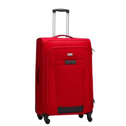 Travelwize Arctic 4-wheel spinner trolley case