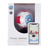 STEM Augmented Reality - Eye Ophthalmology Professional Model