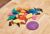 Fraction Circle Set 51-pcs