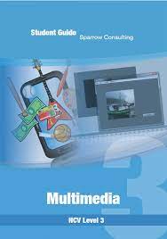 Multimedia Content Level 3