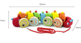 Viga Pull Along Worm