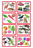 Creatives - What Does Not Belong - Memory Game