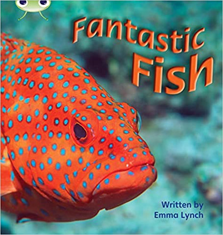 Phonics Bug Fantastic Fish Phase 4