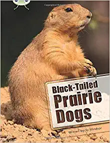 Bug Club Independent Non Fiction Year Two White B Black-tailed Prairie Dogs (BUG CLUB)