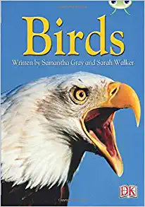 Bc Nf Grey B/4c Birds