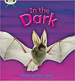 Phonics Bug in the Dark Phase 3