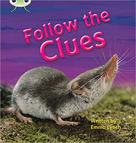 Phonics Bug Follow the Clues Phase 5