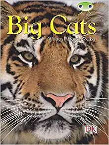 BC NF Brown B/3B Big Cats (BUG CLUB