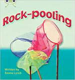 Phonics Bug Rockpooling Phase