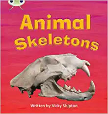 Bug Club Phonics Non-Fiction Year 1 Phase 5 Set 17 Animal Sk
