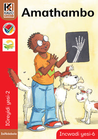 Kagiso Reader Gr 2 (IsiNdebele) Book 6:  Amathambo
